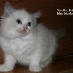 IMG_0999.JPG-for-web-normal