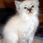 DSC_0972-1.JPG-for-web-large